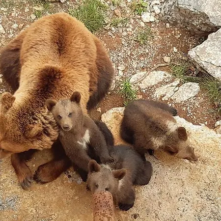 Maison Confit Holiday home