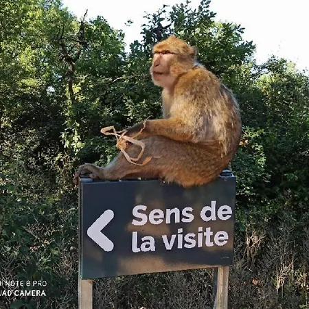 Holiday home Maison Confit