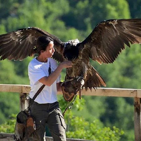 Maison Confit 펜션 *