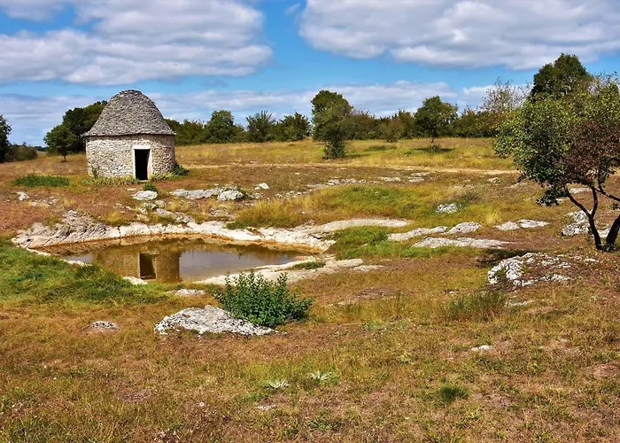 Maison Confit Грама