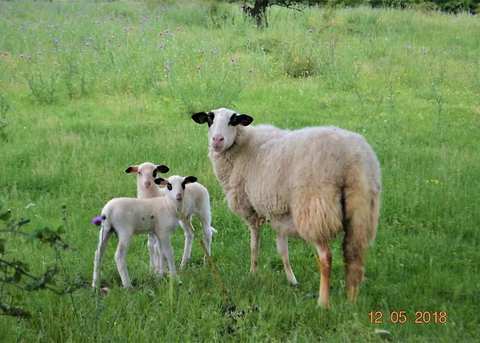 펜션 Maison Confit *