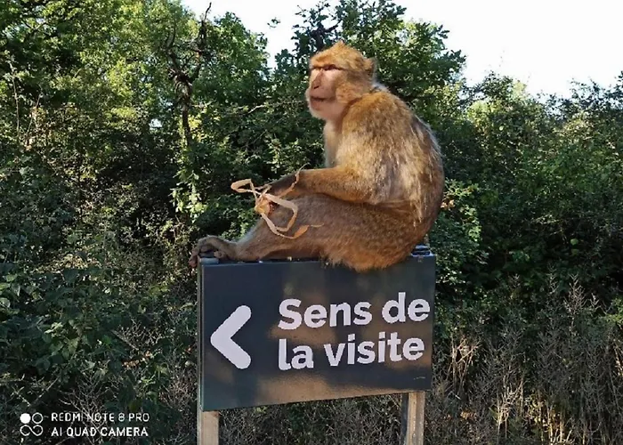 Дом отдыха Maison Confit