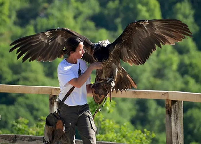 Maison Confit 펜션 *